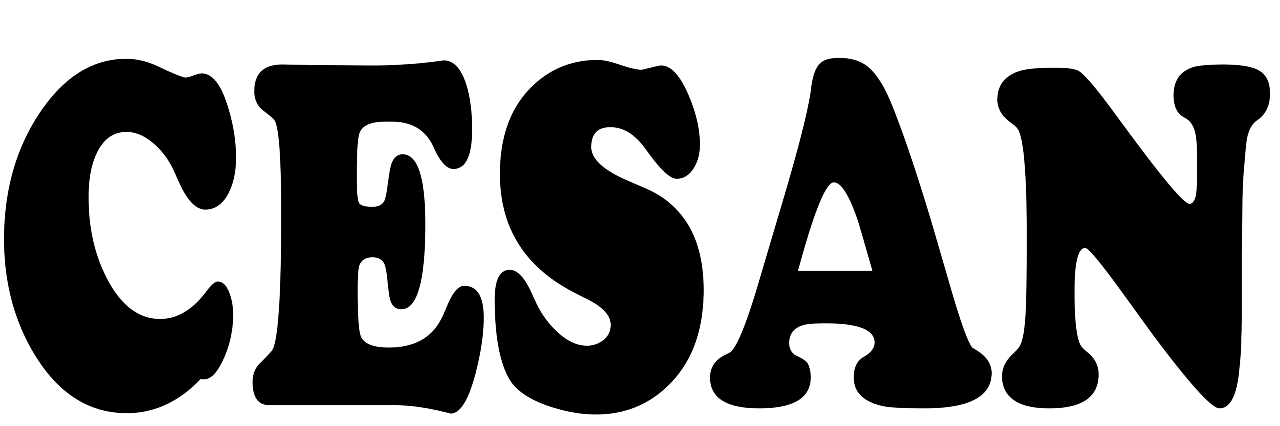 cesan logo pdf